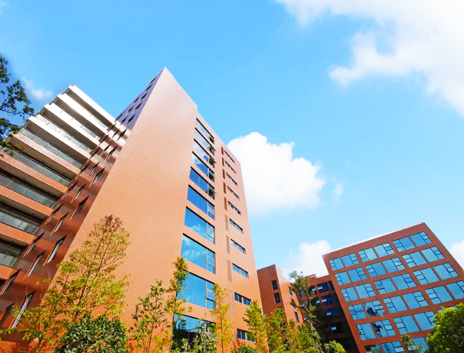 依能管理科学研究院